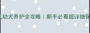 15天新生儿幼犬养护全攻略新手必看超详细保姆级指南