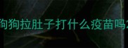 狗狗拉肚子打什么疫苗吗