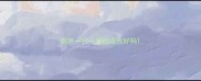 领养一只一岁的边牧好吗