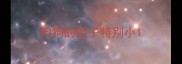 狗狗的胆子特别小