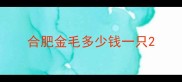 合肥金毛多少钱一只
