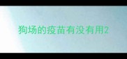 狗场的疫苗有没有用