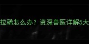 萨摩耶幼犬9个月拉稀怎么办资深兽医详解5大原因及应对措施