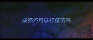 成猫还可以打疫苗吗