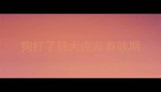 狗打了狂犬疫苗有效期