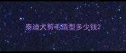 泰迪犬剪毛造型多少钱
