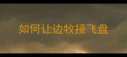 如何让边牧接飞盘