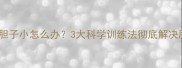 拉布拉多胆子小怎么办3大科学训练法彻底解决胆小问题