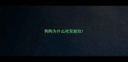 狗狗为什么吃完就拉