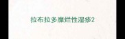 拉布拉多糜烂性湿疹