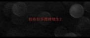 拉布拉多腰椎增生