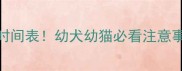 驱虫后打疫苗间隔时间表幼犬幼猫必看注意事项附超全流程图