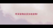 菏泽宠物店派多格宠物