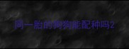 同一胎的狗狗能配种吗