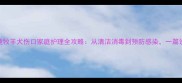 边境牧羊犬伤口家庭护理全攻略从清洁消毒到预防感染一篇说清