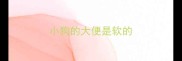 小狗的大便是软的