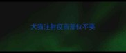 犬猫注射疫苗部位不要