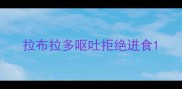 拉布拉多呕吐拒绝进食