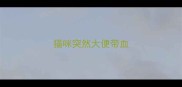 猫咪突然大便带血