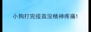小狗打完疫苗没精神疼痛