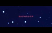福州拉布拉多领养