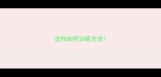 边牧如何训练方法