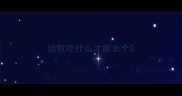 边牧吃什么才能长个