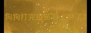 狗狗打完疫苗背上肿了