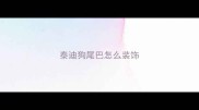 泰迪狗尾巴怎么装饰