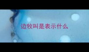 边牧叫是表示什么
