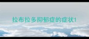 拉布拉多抑郁症的症状