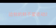 边牧的胖不爱还动