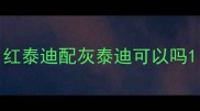 红泰迪配灰泰迪可以吗
