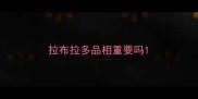 拉布拉多品相重要吗