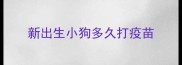 新出生小狗多久打疫苗