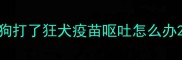 狗打了狂犬疫苗呕吐怎么办