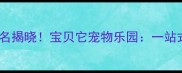 宠物乐园官网排名揭晓宝贝它宠物乐园一站式宠物服务指南