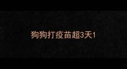 狗狗打疫苗超3天