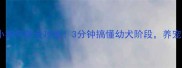 辨别小狗年龄全攻略3分钟搞懂幼犬阶段养宠必看