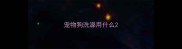 宠物狗洗澡用什么