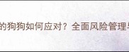 未接种疫苗的狗狗如何应对全面风险管理与补种指南