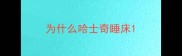 为什么哈士奇睡床