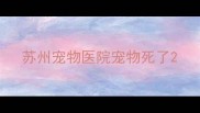 苏州宠物医院宠物死了