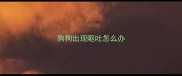 狗狗出现呕吐怎么办