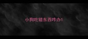 小狗吃错东西咋办