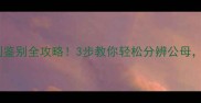 宠物龟性别鉴别全攻略3步教你轻松分辨公母新手必看