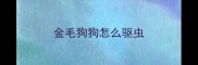 金毛狗狗怎么驱虫