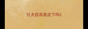 狂犬疫苗是皮下吗