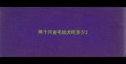 两个月金毛幼犬吃多少