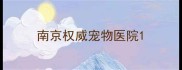 南京权威宠物医院